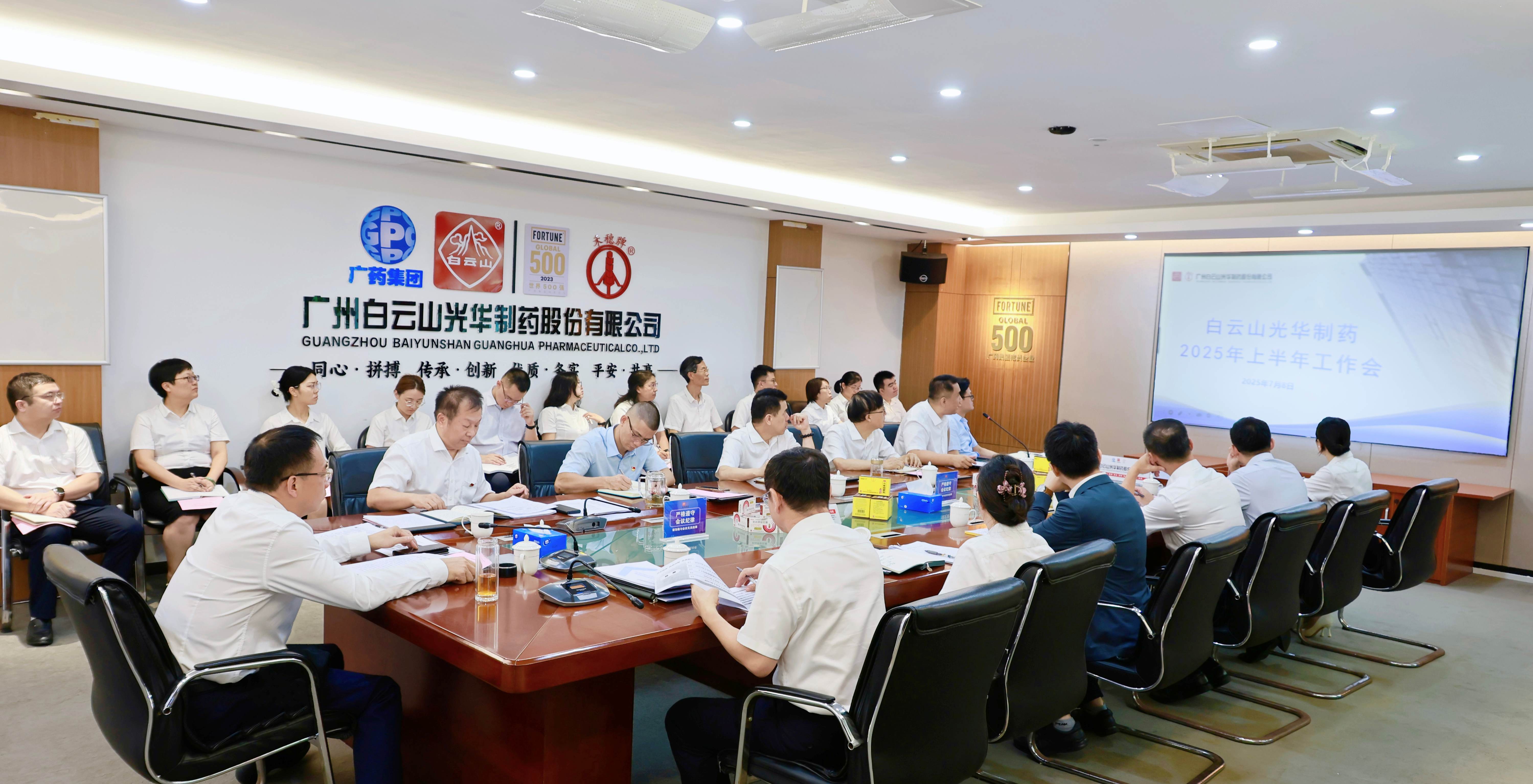 严实风格强根基 奋楫冲刺创新绩——白云山K8凯发造药召开2025年上半年工作会议